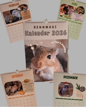 Preview Rennmaus Kalender 2026